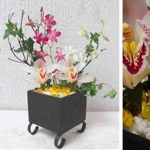 Arreglo Floral con Orquídea Cymbidium en Bogota